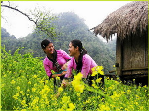 Nam Dinh car rental to Long An is the thing you looking for? How far is Long An Vietnam from Nam Dinh, Vietnam? How much is Nam Dinh car rental to Long An? How many miles and how many kilometerse is it betwen Nam Dinh and Long An?