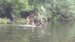 Nghe An car rental to Hai Phong is the thing you looking for? How far is Hai Phong Vietnam from Nghe An, Vietnam? How much is Nghe An car rental to Hai Phong? How many miles and how many kilometerse is it betwen Nghe An and Hai Phong?