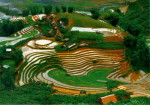 Quang Binh car rental to Phu Tho is the thing you looking for? How far is Phu Tho, Vietnam from Quang Binh, Vietnam? How much is Quang Binh car rental to Phu Tho? How many miles and how many kilometerse is it betwen Quang Binh and Phu Tho?