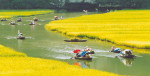 Quang Binh car rental to Soc Trang is the thing you looking for? How far is Soc Trang, Vietnam from Quang Binh, Vietnam? How much is Quang Binh car rental to Soc Trang? How many miles and how many kilometerse is it betwen Quang Binh and Soc Trang?