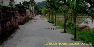 Tay Ninh car rental to Hau Giang is the thing you looking for? How far is Hau Giang Vietnam from Tay Ninh, Vietnam? How much is Tay Ninh car rental to Hau Giang? How many miles and how many kilometerse is it betwen Tay Ninh and Hau Giang?