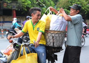 Thua Thien- Hue car rental to Da Nang is the thing you looking for? How far is Da Nang Vietnam from Thua Thien- Hue, Vietnam? How much is Thua Thien- Hue car rental to Da Nang? How many miles and how many kilometerse is it betwen Thua Thien- Hue and Da Nang?