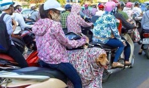 Thua Thien- Hue car rental to Phu Tho is the thing you looking for? How far is Phu Tho Vietnam from Thua Thien- Hue, Vietnam? How much is Thua Thien- Hue car rental to Phu Tho? How many miles and how many kilometerse is it betwen Thua Thien- Hue and Phu Tho?