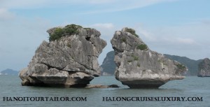 Tra Vinh car rental to Dak Nong is the thing you looking for? How far is Dak Nong Vietnam from Tra Vinh, Vietnam? How much is Tra Vinh car rental to Dak Nong? How many miles and how many kilometerse is it betwen Tra Vinh and Dak Nong?