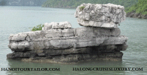 Tra Vinh car rental to Dien Bien is the thing you looking for? How far is Dien Bien Vietnam from Tra Vinh, Vietnam? How much is Tra Vinh car rental to Dien Bien? How many miles and how many kilometerse is it betwen Tra Vinh and Dien Bien?