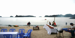Tra Vinh car rental to Tay Ninh is the thing you looking for? How far is Tay Ninh Vietnam from Tra Vinh, Vietnam? How much is Tra Vinh car rental to Tay Ninh? How many miles and how many kilometerse is it betwen Tra Vinh and Tay Ninh?