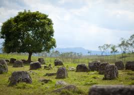 Ninh Thuan car rental to Son La is the thing you looking for? How far is Son La Vietnam from Ninh Thuan, Vietnam? How much is Ninh Thuan car rental to Son La? How many miles and how many kilometerse is it betwen Ninh Thuan and Son La?