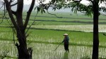 Phu Tho car rental to Binh Dinh is the thing you looking for? How far is Binh Dinh Vietnam from Phu Tho, Vietnam? How much is Phu Tho car rental to Binh Dinh? How many miles and how many kilometers is it betwen Phu Tho and Binh Dinh?