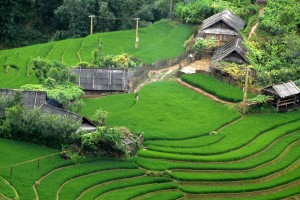 Saigon Car Rental to Binh Dinh is the thing you looking for? How far is Saigon Vietnam from Binh Dinh, Vietnam? How much is Saigon car rental to Binh Dinh? How many miles and how many kilometerse is it betwen Saigon and Binh Dinh?