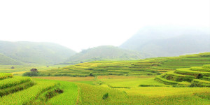 Saigon Car Rental to Binh Phuoc is the thing you looking for? How far is Saigon Vietnam from Binh Phuoc, Vietnam? How much is Saigon car rental to Binh Phuoc? How many miles and how many kilometerse is it betwen Saigon and Binh Phuoc?