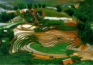 Saigon Car Rental to Gia Lai is the thing you looking for? How far is Saigon Vietnam from Gia Lai, Vietnam? How much is Saigon car rental to Gia Lai? How many miles and how many kilometerse is it betwen Saigon and Gia Lai?