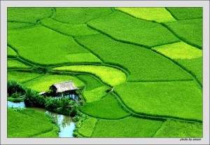 Saigon Car Rental to Ha Nam is the thing you looking for? How far is Saigon Vietnam from Ha Nam, Vietnam? How much is Saigon car rental to Ha Nam? How many miles and how many kilometerse is it betwen Saigon and Ha Nam?