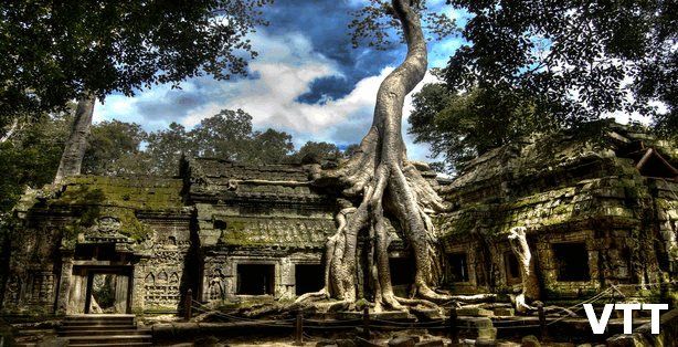 TA PROHM temple is on the top 3 best places to visit in Siem Reap Cambodia