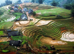 Nghe An car rental to Tien Giang is the thing you looking for? How far is Tien Giang Vietnam from Nghe An, Vietnam? How much is Nghe An car rental to Tien Giang? How many miles and how many kilometerse is it betwen Nghe An and Tien Giang?