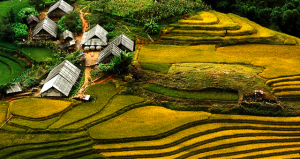 Nghe An car rental to Tra Vinh is the thing you looking for? How far is Tra Vinh Vietnam from Nghe An, Vietnam? How much is Nghe An car rental to Tra Vinh? How many miles and how many kilometerse is it betwen Nghe An and Tra Vinh?