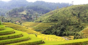 Binh Dinh car rental to Dak Nong is the thing you looking for? How far is Binh Dinh, Vietnam from Dak Nong, Vietnam? How many miles and how many kilometers is it between Dak Nong and Binh Dinh?