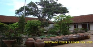 Binh Dinh car rental to Son La is the thing you looking for? How far is Binh Dinh, Vietnam from Son La, Vietnam? How many miles and how many kilometers is it between Son La and Binh Dinh?