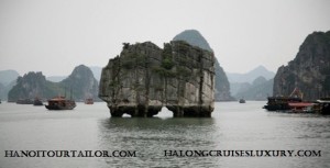Bac Giang car rental to Dak Nong is the thing you looking for? How far is Bac Giang, Vietnam from Dak Nong, Vietnam? How many miles and how many kilometers is it between Dak Nong and Bac Giang?