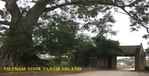 Bac Kan car rental to Kon Tum is the thing you looking for? How far is Bac Kan, Vietnam from Kon Tum, Vietnam? How many miles and how many kilometers is it between Kon Tum and Bac Kan?