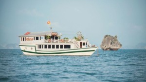 White Dolphin Private Cruise